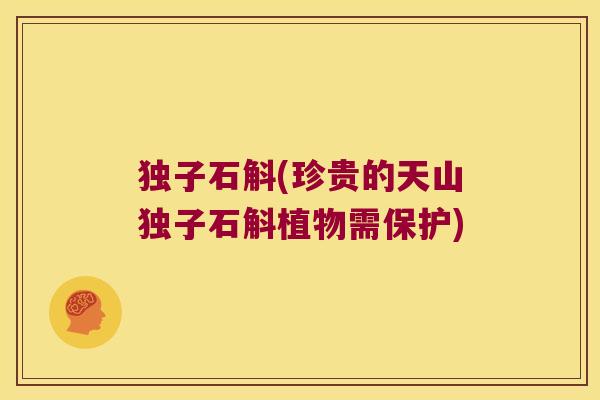 独子石斛(珍贵的天山独子石斛植物需保护) 独子石斛(珍贵的天山独子石斛植物需保护)
