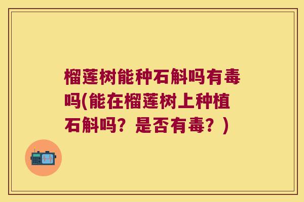 榴莲树能种石斛吗有毒吗(能在榴莲树上种植石斛吗？是否有毒？)