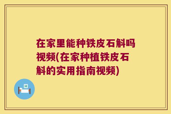 在家里能种铁皮石斛吗视频(在家种植铁皮石斛的实用指南视频)