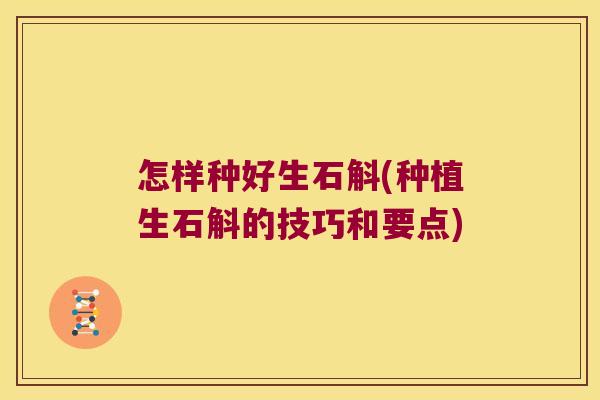 怎样种好生石斛(种植生石斛的技巧和要点)