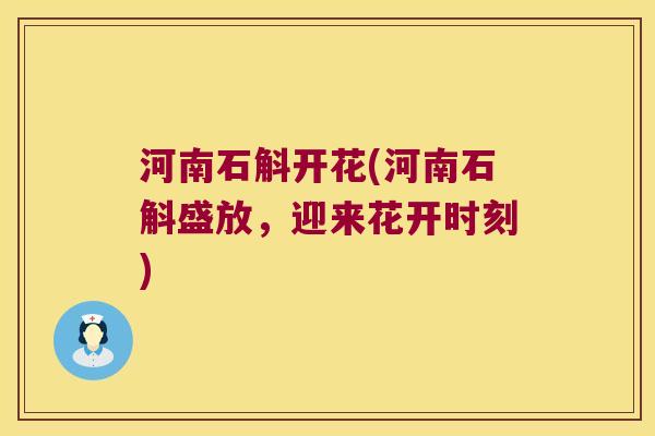 河南石斛开花(河南石斛盛放，迎来花开时刻)