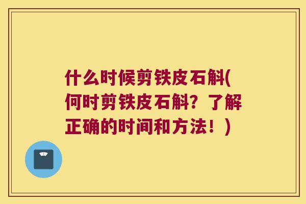 什么时候剪铁皮石斛(何时剪铁皮石斛？了解正确的时间和方法！)