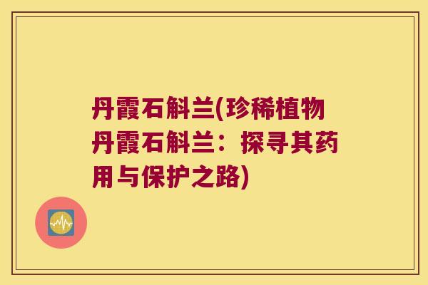 丹霞石斛兰(珍稀植物丹霞石斛兰：探寻其药用与保护之路)