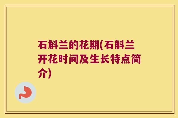 石斛兰的花期(石斛兰开花时间及生长特点简介)