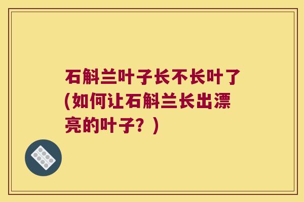 石斛兰叶子长不长叶了(如何让石斛兰长出漂亮的叶子？)