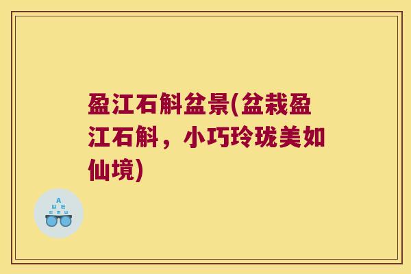 盈江石斛盆景(盆栽盈江石斛，小巧玲珑美如仙境)