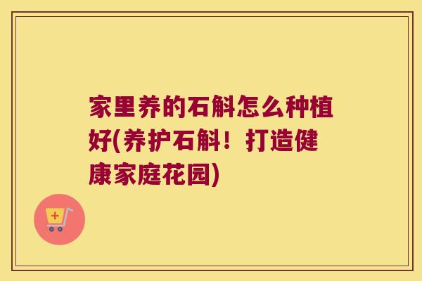 家里养的石斛怎么种植好(养护石斛！打造健康家庭花园)