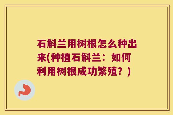 石斛兰用树根怎么种出来(种植石斛兰：如何利用树根成功繁殖？)