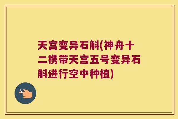 天宫变异石斛(神舟十二携带天宫五号变异石斛进行空中种植)