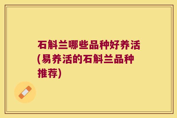 石斛兰哪些品种好养活(易养活的石斛兰品种推荐)