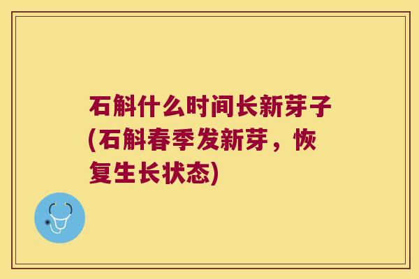 石斛什么时间长新芽子(石斛春季发新芽，恢复生长状态)