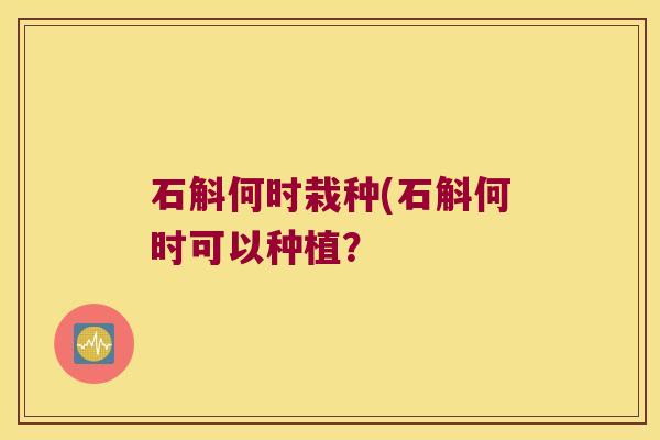 石斛何时栽种(石斛何时可以种植？