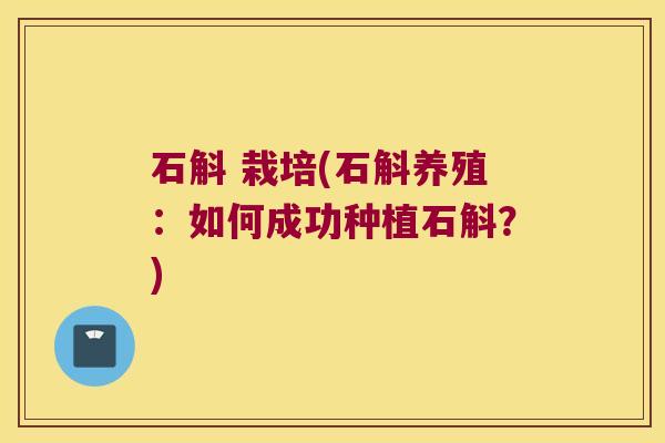 石斛 栽培(石斛养殖：如何成功种植石斛？)