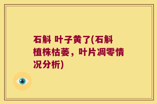 石斛 叶子黄了(石斛植株枯萎，叶片凋零情况分析)