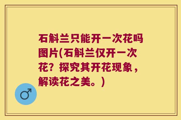石斛兰只能开一次花吗图片(石斛兰仅开一次花？探究其开花现象，解读花之美。)