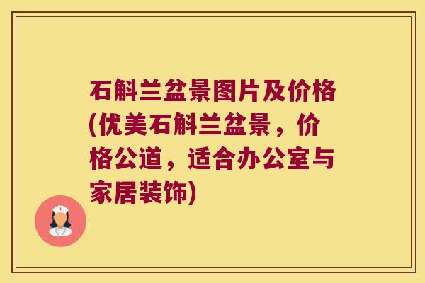 石斛兰盆景图片及价格(优美石斛兰盆景，价格公道，适合办公室与家居装饰)