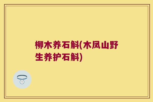 柳木养石斛(木凤山野生养护石斛) 柳木养石斛(木凤山野生养护石斛)