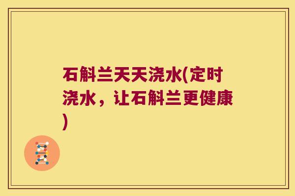 石斛兰天天浇水(定时浇水，让石斛兰更健康)
