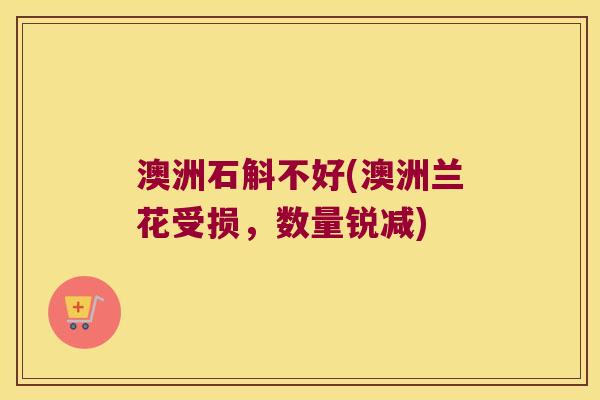 澳洲石斛不好(澳洲兰花受损,数量锐减) 澳洲石斛不好(澳洲兰花受损,数量锐减)