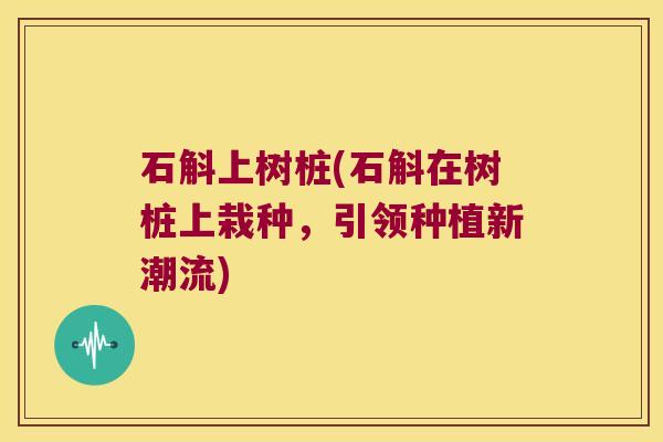 石斛上树桩(石斛在树桩上栽种，引领种植新潮流)