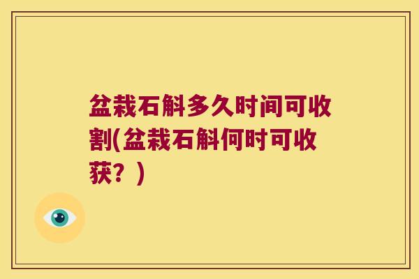 盆栽石斛多久时间可收割(盆栽石斛何时可收获?) 盆栽石斛多久时间可收割(盆栽石斛何时可收获?)