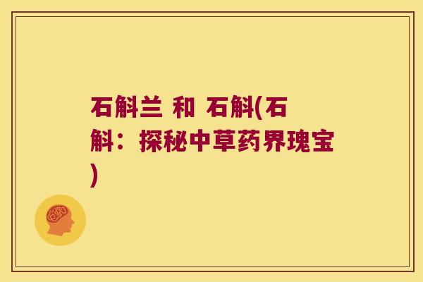 石斛兰 和 石斛(石斛：探秘中草药界瑰宝)