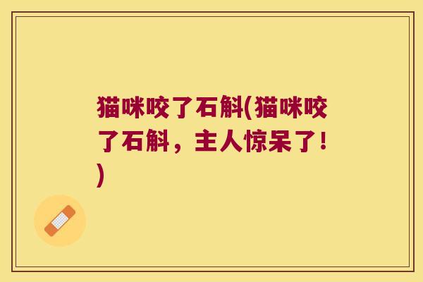 猫咪咬了石斛(猫咪咬了石斛，主人惊呆了！)