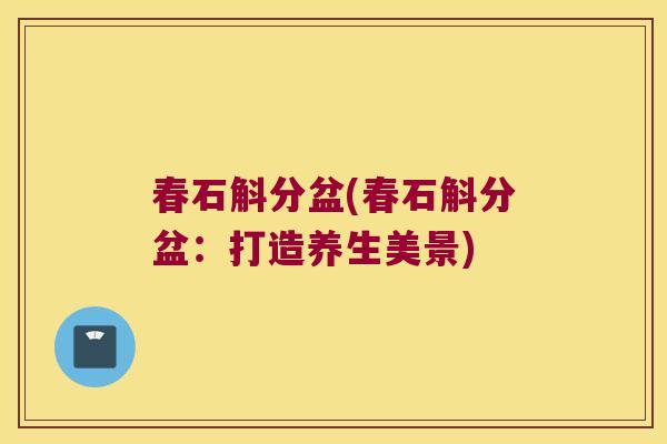 春石斛分盆(春石斛分盆：打造养生美景)