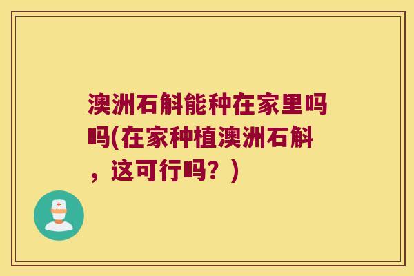 澳洲石斛能种在家里吗吗(在家种植澳洲石斛，这可行吗？)