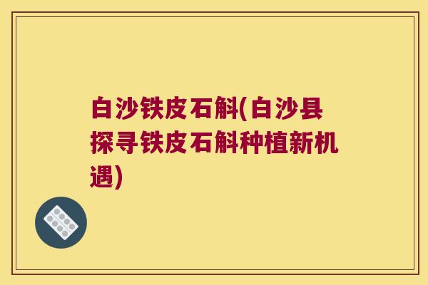 白沙铁皮石斛(白沙县探寻铁皮石斛种植新机遇)