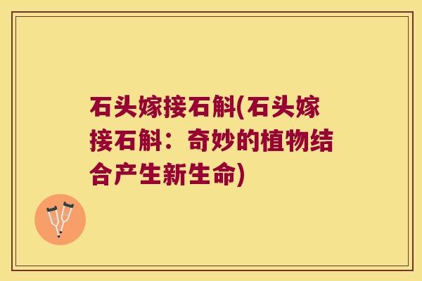 石头嫁接石斛(石头嫁接石斛：奇妙的植物结合产生新生命)