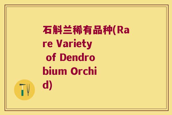 石斛兰稀有品种(Rare Variety of Dendrobium Orchid)
