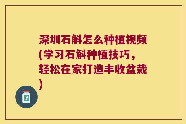 深圳石斛怎么种植视频(学习石斛种植技巧，轻松在家打造丰收盆栽)