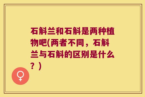 石斛兰和石斛是两种植物吧(两者不同，石斛兰与石斛的区别是什么？)