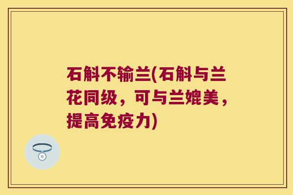 石斛不输兰(石斛与兰花同级,可与兰媲美,提高力) 石斛不输兰(石斛与兰花同级,可与兰媲美,提高力)