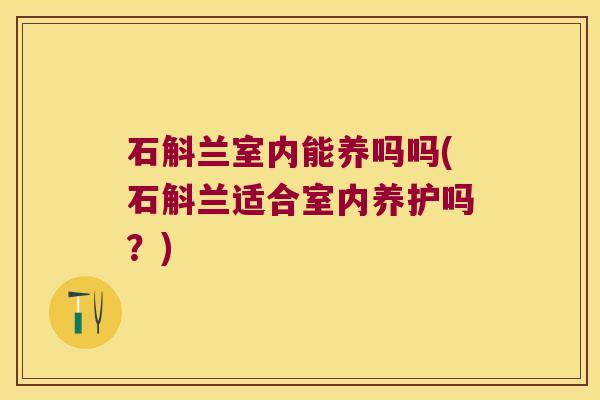 石斛兰室内能养吗吗(石斛兰适合室内养护吗?) 石斛兰室内能养吗吗(石斛兰适合室内养护吗?)