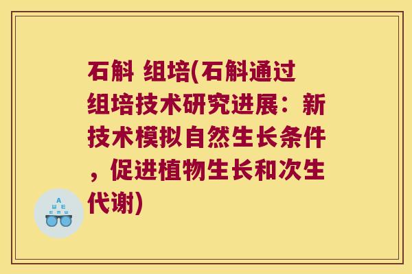 石斛 组培(石斛通过组培技术研究进展:新技术模拟自然生长条件,促进植物生长和次生代谢) 石斛 组培(石斛通过组培技术研究进展:新技术模拟自然生长条件,促进植物生长和次生代谢)