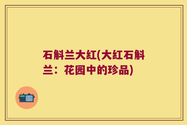 石斛兰大红(大红石斛兰：花园中的珍品)