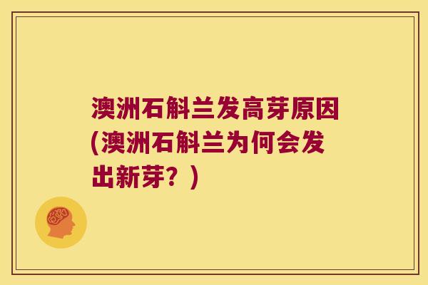 澳洲石斛兰发高芽原因(澳洲石斛兰为何会发出新芽？)