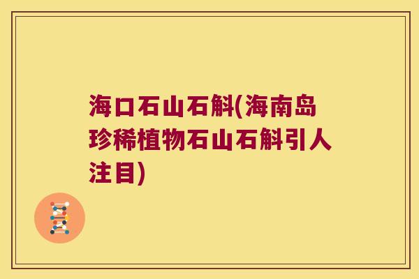 海口石山石斛(海南岛珍稀植物石山石斛引人注目)