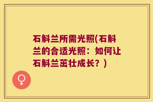 石斛兰所需光照(石斛兰的合适光照:如何让石斛兰茁壮成长?) 石斛兰所需光照(石斛兰的合适光照:如何让石斛兰茁壮成长?)