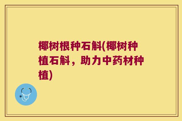 椰树根种石斛(椰树种植石斛，助力中药材种植)