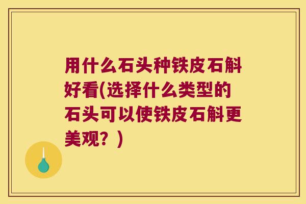 用什么石头种铁皮石斛好看(选择什么类型的石头可以使铁皮石斛更美观？)