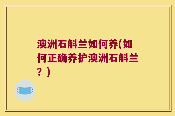 澳洲石斛兰如何养(如何正确养护澳洲石斛兰？)