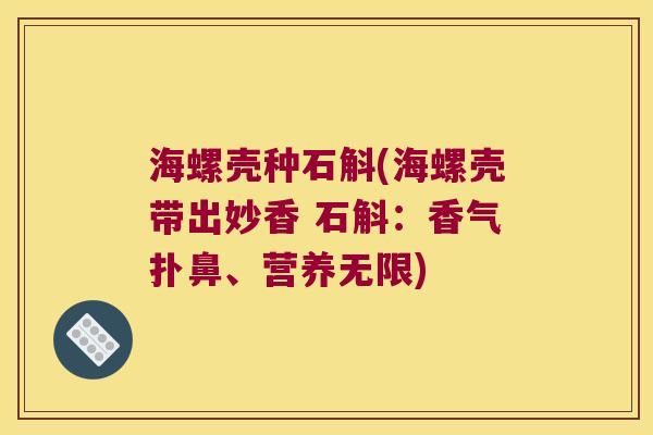 海螺壳种石斛(海螺壳带出妙香 石斛：香气扑鼻、营养无限)