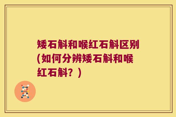 矮石斛和喉红石斛区别(如何分辨矮石斛和喉红石斛？)