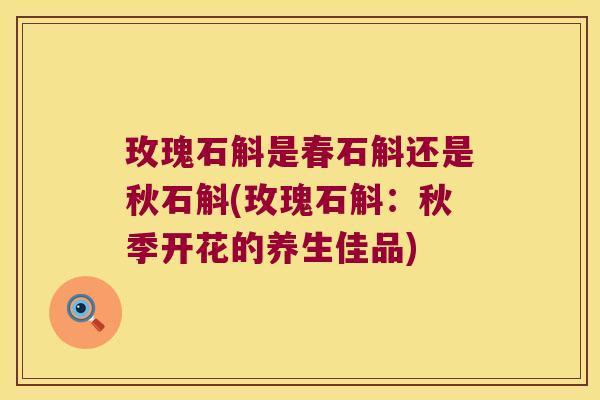 玫瑰石斛是春石斛还是秋石斛(玫瑰石斛：秋季开花的养生佳品)