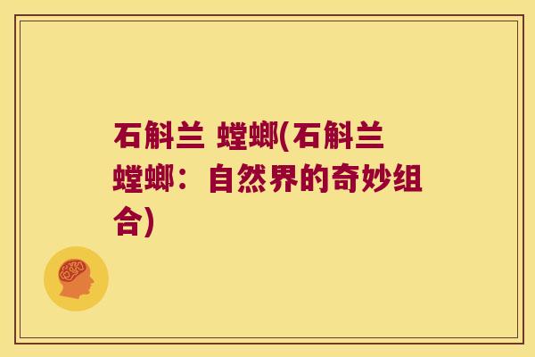 石斛兰 螳螂(石斛兰螳螂：自然界的奇妙组合)