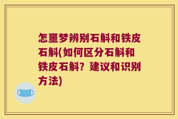 怎噩梦辨别石斛和铁皮石斛(如何区分石斛和铁皮石斛？建议和识别方法)