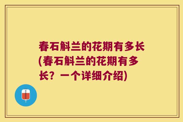 春石斛兰的花期有多长(春石斛兰的花期有多长？一个详细介绍)